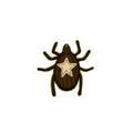 S(tick)er — Cute Brown Star Tick Bug Laptop Sticker (Kiss-Cut)